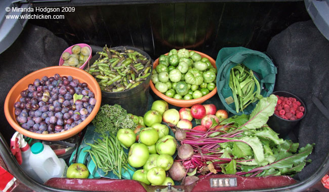 Another boot full of fruit and vegetables