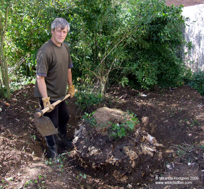 Karl's tree stump