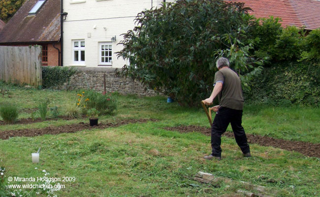 Scything the grass