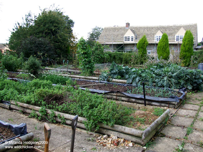 Raised beds