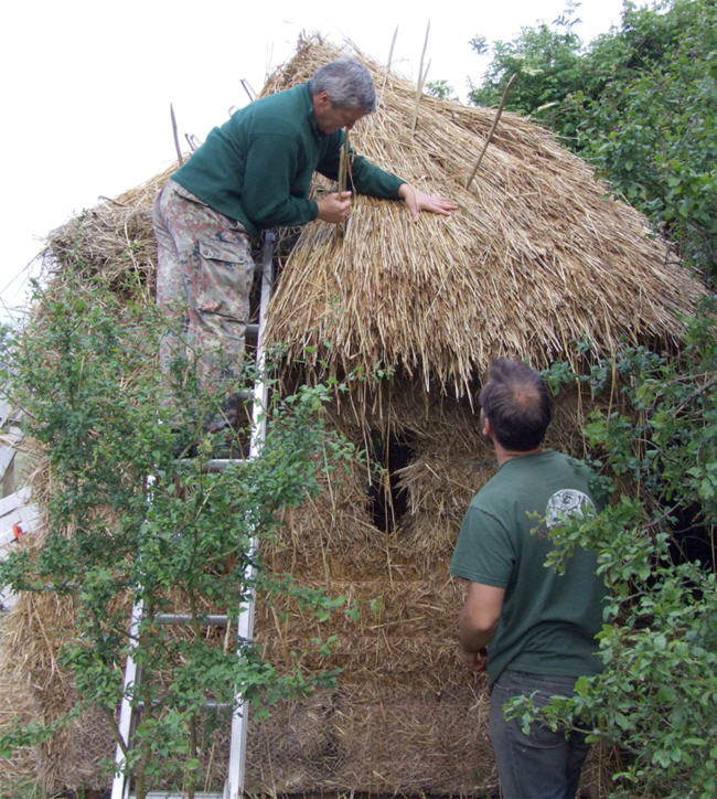 Karl trying his hand at thatching