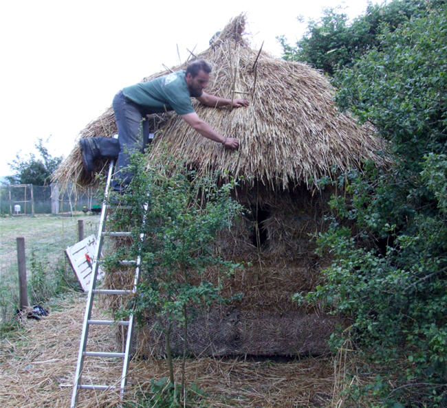 Matt thatching